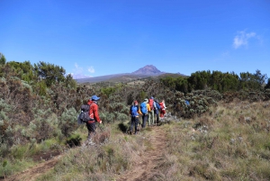 Kilimanjaro: Machame route 6 days Most popular 95% success