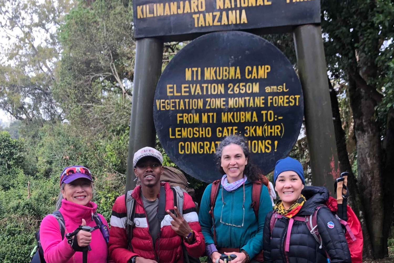 Kilimandjaro : Ascension de la voie Lemosho 8 jours