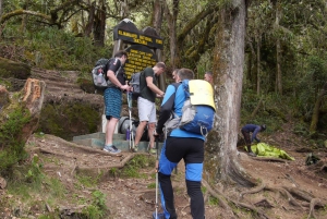 Kilimanjaro: Climbing The Lemosho route