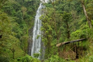 Kilimanjaro coffee, waterfalls, village walk and Hotsprings