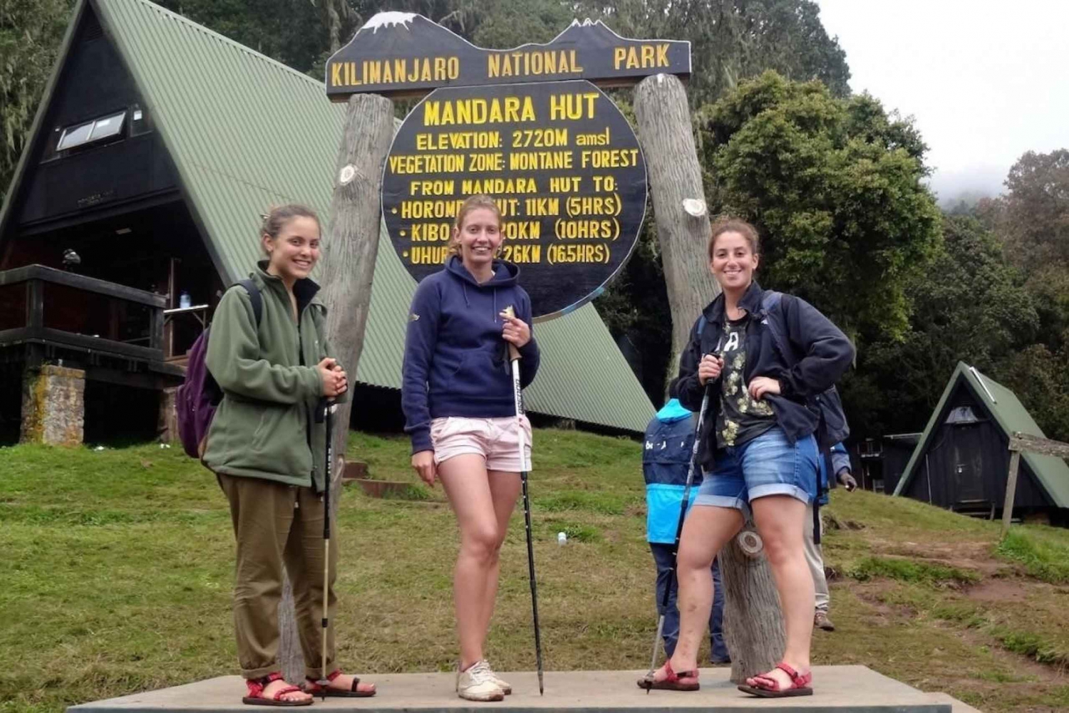 Kilimanjaro Day Hike to Mandara huts