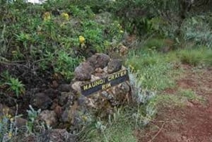 Desde Arusha/Moshi: Excursión de un día al Kilimanjaro por la Ruta de Marangu