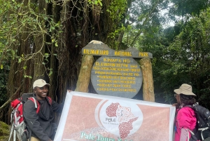 Excursión de un día al Kilimanjaro por Lemosho, Marangu o Machame