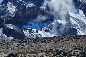 Escursione giornaliera sul Kilimangiaro - Tutto compreso, senza costi nascosti