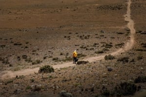 Escursione giornaliera sul Kilimangiaro - Tutto compreso, senza costi nascosti