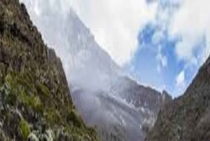 7 dagers fottur på Kilimanjaro; Topptur på Lemosho-ruten