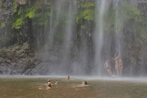 Kilimanjaro: vierailu maasai-kyliin, vesiputouksiin ja kahvikierrokselle