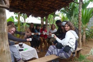 Kilimanjaro: vierailu maasai-kyliin, vesiputouksiin ja kahvikierrokselle