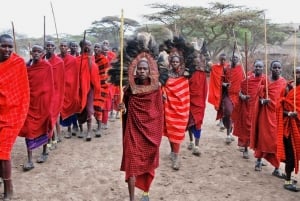 Kilimanjaro: vierailu maasai-kyliin, vesiputouksiin ja kahvikierrokselle
