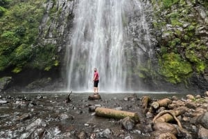 Kilimanjaro: Besøk i masailandsby, fossefall og kaffetur