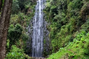Kilimanjaro: Besøk i masailandsby, fossefall og kaffetur