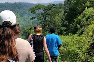 Kilimanjaro: Besøk i masailandsby, fossefall og kaffetur