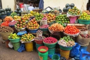 Kilimanjaro: Besøk i masailandsby, fossefall og kaffetur