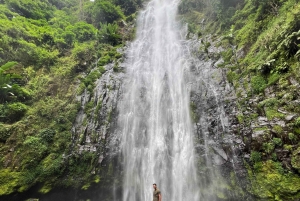 Kilimanjaro: Besøk i masailandsby, fossefall og kaffetur