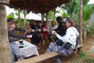 Kilimanjaro: Besøk i masailandsby, fossefall og kaffetur