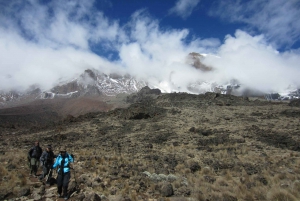 Kilimanjaro: Machame Route 6 Day Trek
