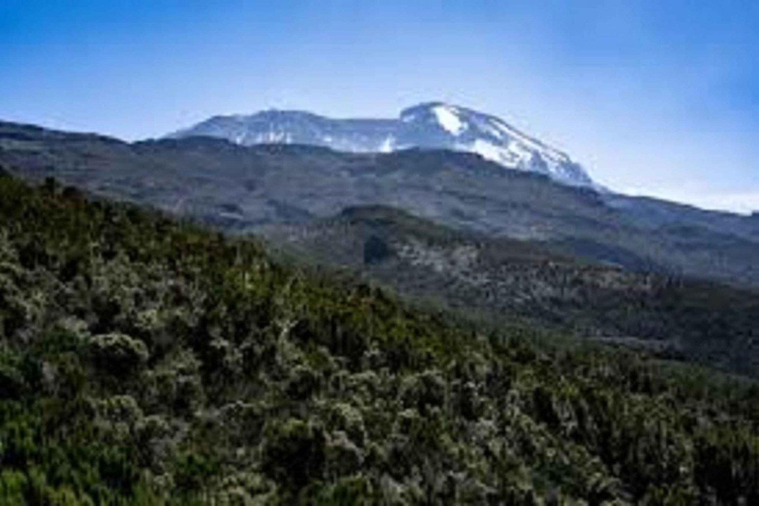 #1. Bedste 7-dages Kilimanjaro-trekking på Machame-ruten – tilmeld dig gruppen