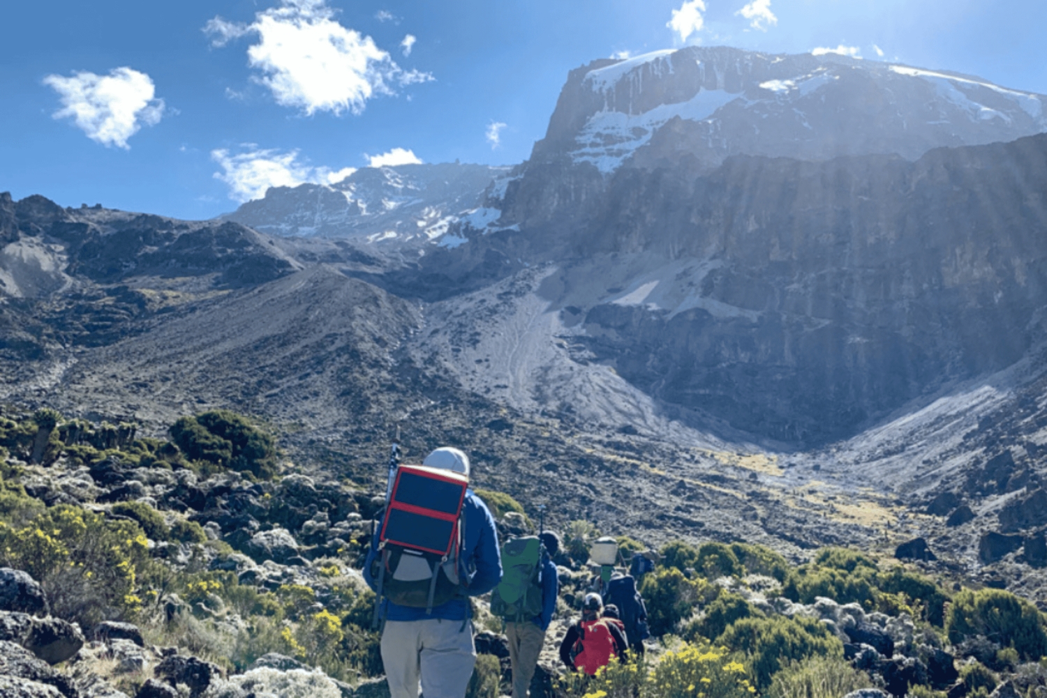 キリマンジャロ：マラングルート5日間トレッキング