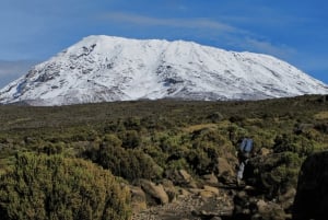 Kilimanjaro: Marangu Route 5-Day Trek