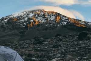 キリマンジャロ：マラングルート5日間トレッキング