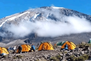 キリマンジャロ：マラングルート5日間トレッキング