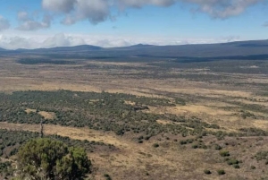 Kilimanjaro: Marangu-ruten 5-dagers vandring