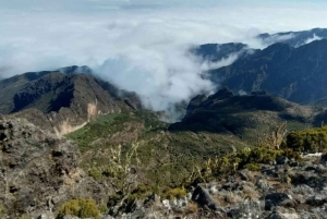 Kilimanjaro: Marangu-ruten 5-dagers vandring