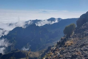 Kilimanjaro: Marangu-ruten 5-dagers vandring