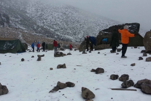 Kilimanjaro: Marangu Route 5 dagars vandring