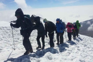 Kilimandjaro : Trek de 5 jours sur la route Marangu