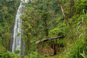 Kilimanjaro: Materuni Waterfalls and Coffee Tour with Lunch