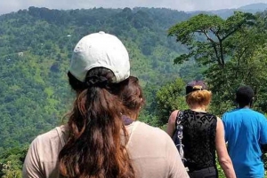 Kilimanjaro: Materuni Waterfalls and Coffee Tour with Lunch