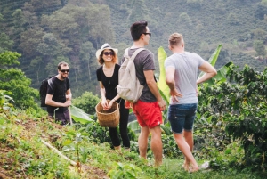 Kilimanjaro village walk, coffee tour, waterfalls &hot lunch