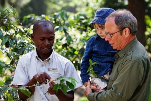 Kilimanjaro village walk, coffee tour, waterfalls &hot lunch