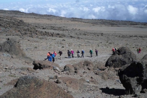 Kilimanjaro National Park: Cathedral Point Day Hike (3872m)