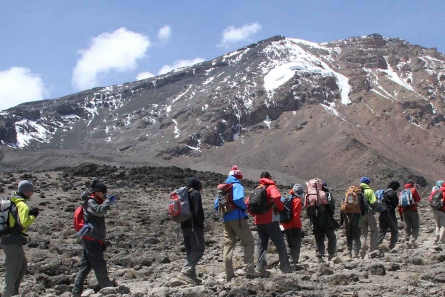 Kilimanjaro Nationalpark - Shira Plateau, en dags vandring
