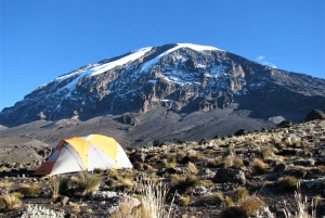 Kilimanjaro Trek via Machame Route