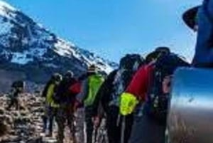 Best Kilimanjaro Hike- 1 Day Rongai Route