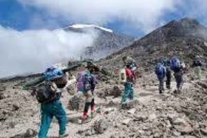 Best Kilimanjaro Hike- 1 Day Rongai Route