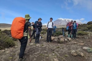 Best Kilimanjaro Hike- 1 Day Rongai Route