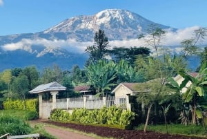 Kilimanjaro Village Cultural Tour: Songs, Cuisine, Community