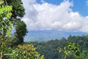Kilimanjaro Village Cultural Tour: Songs, Cuisine, Community