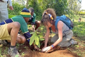 Kilimanjaro Village Cultural Tour: Songs, Cuisine, Community