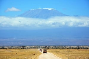 Kilimanjaro: Village Walk, Coffee Tour, Waterfall, and Lunch