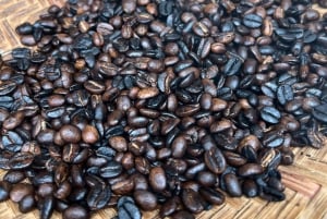 Kilimanjaro: Village Walk, Coffee Tour, Waterfall, and Lunch