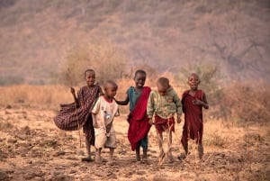 Kilimanjaro: Village Walk, Coffee Tour, Waterfall, and Lunch