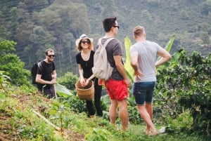 Passeggiata nel villaggio del Kilimangiaro, tour del caffè, cascate e pranzo caldo