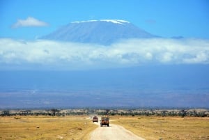 Byvandring i Kilimanjaro, kaffetur, vattenfall och varm lunch