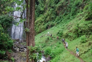 Caminhada pela vila de Kilimanjaro, passeio de café, cachoeiras e almoço quente