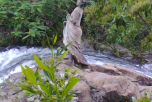 Kinuka Mori: Cultural and Nature day Trip with Lunch